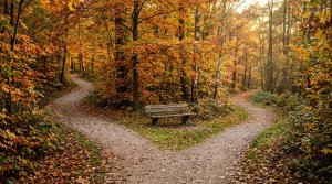 Switching From Original Medicare to Medicare Advantage: What to Check First