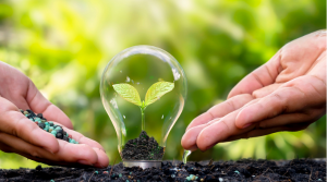 A Revolução verde no bolso